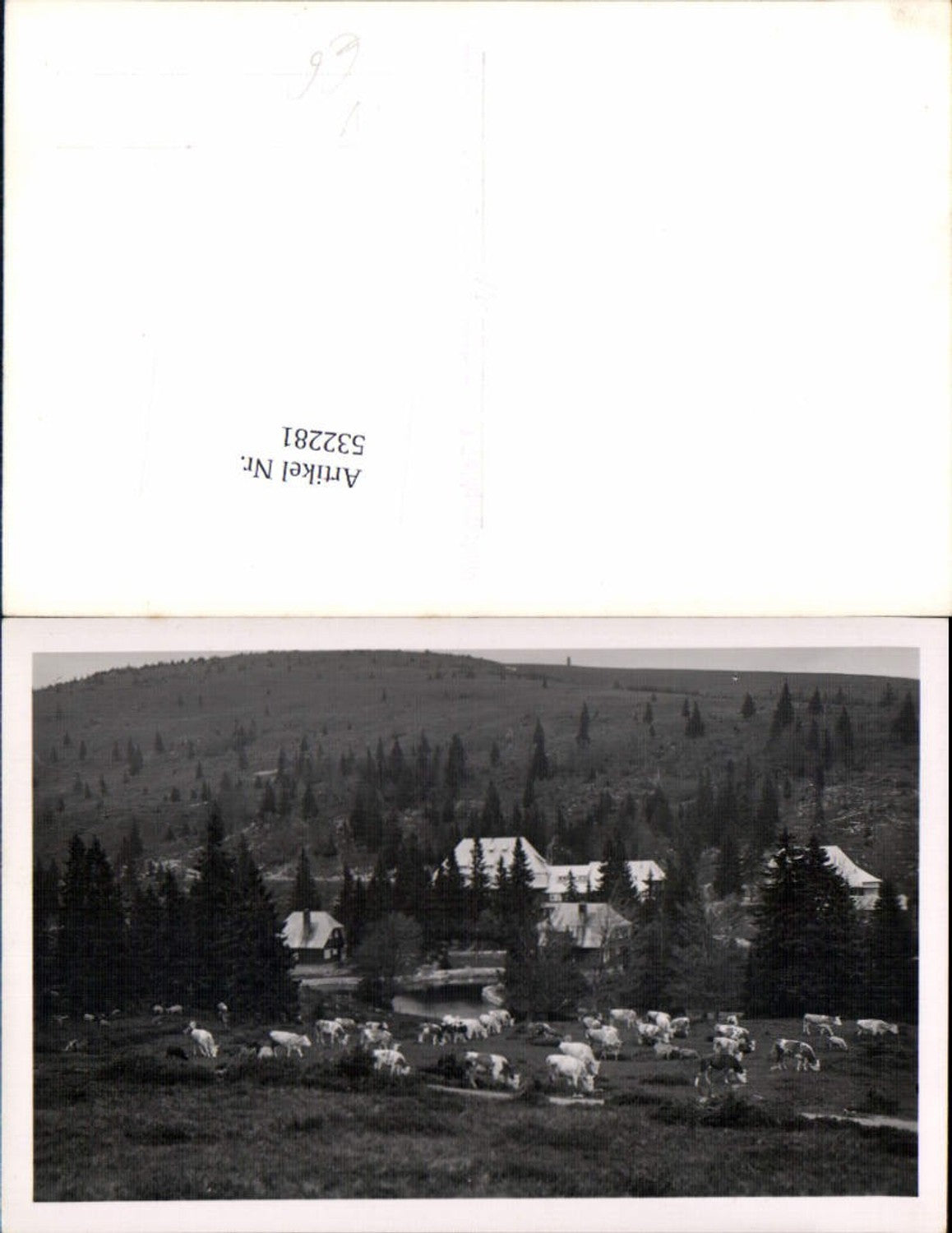 532281,Photograph E. Baumgartner Freiburg im Breisgau Umgebung Foto-AK