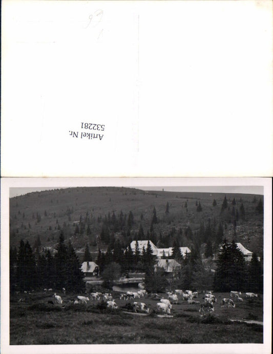 532281, Photograph E. Baumgartner Freiburg im Breisgau area Photo postcard