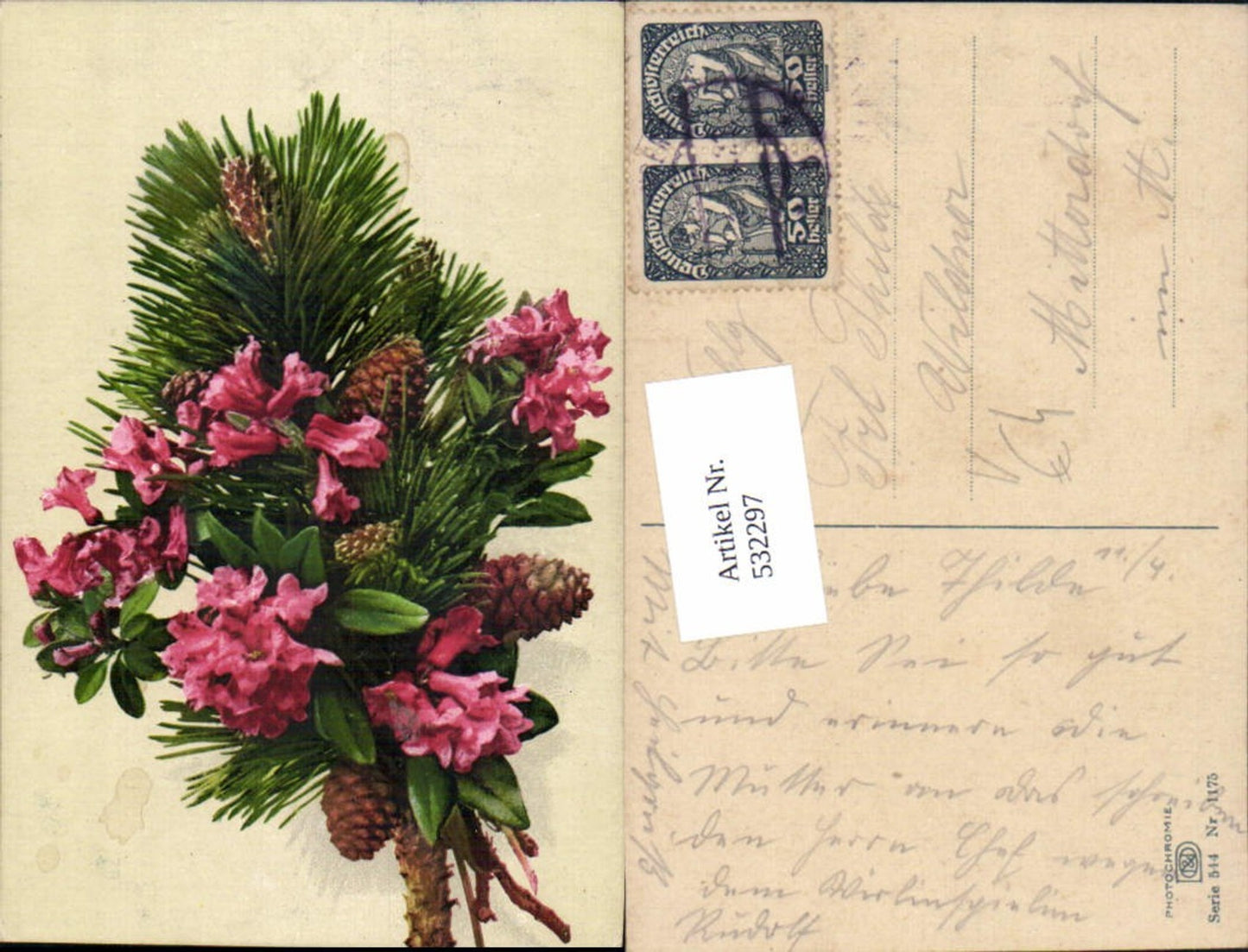 532297,Photochromie Ostermaier & Nenke 544-1175 n Mitterdorf
