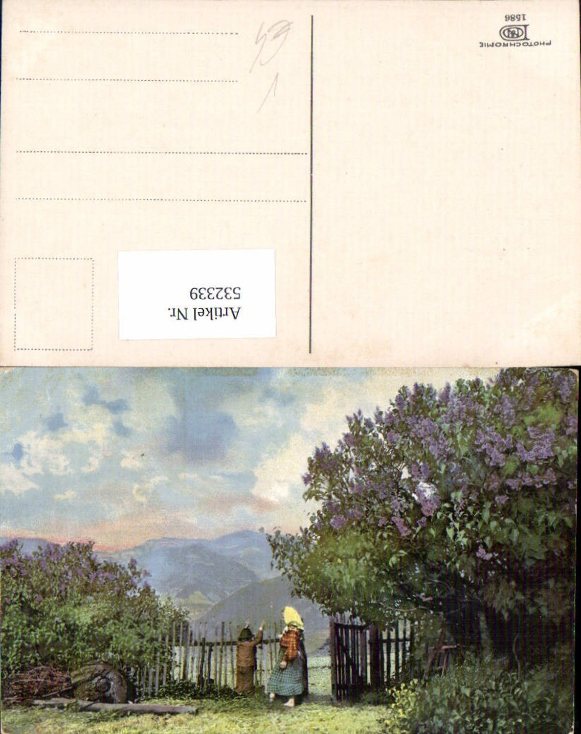 532339,Photochromie Ostermaier & Nenke 1586 Flieder