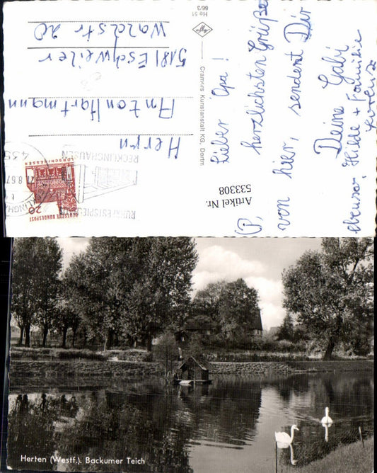 533308, Herten Backumer Teich, Schwäne,