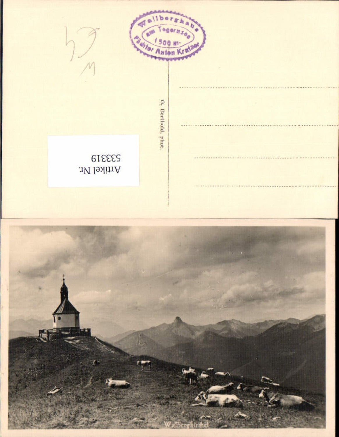 533319, Wallbergkirche mit ruhender Kuhherde, Tegernsee