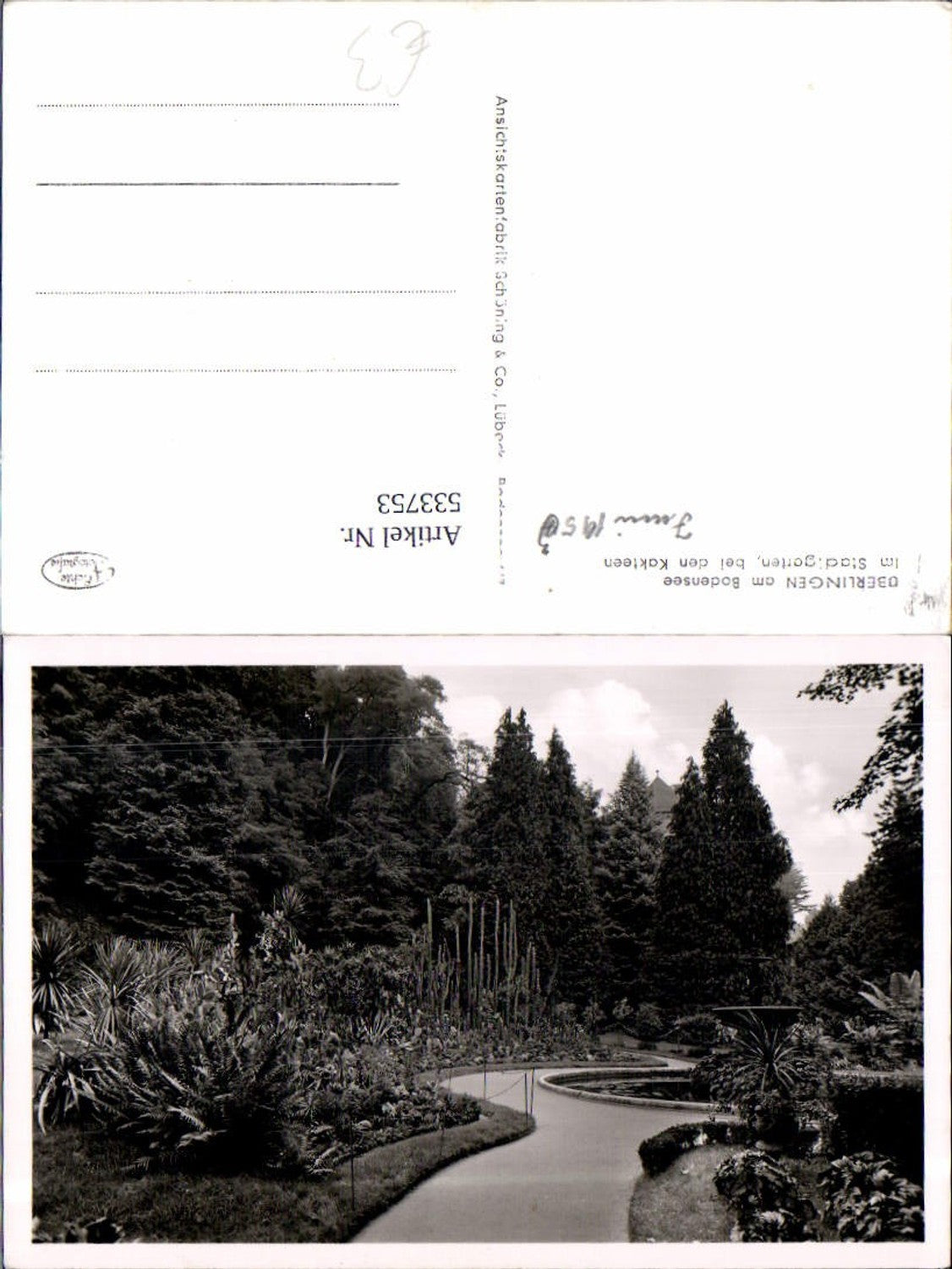 533753,Überlingen am Bodensee Stadtgarten Kakteen