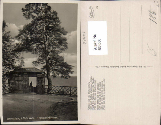 534066, Photo Ak Schwarzburg i. Thüringer Wald Trippsteinhäuschen Baum