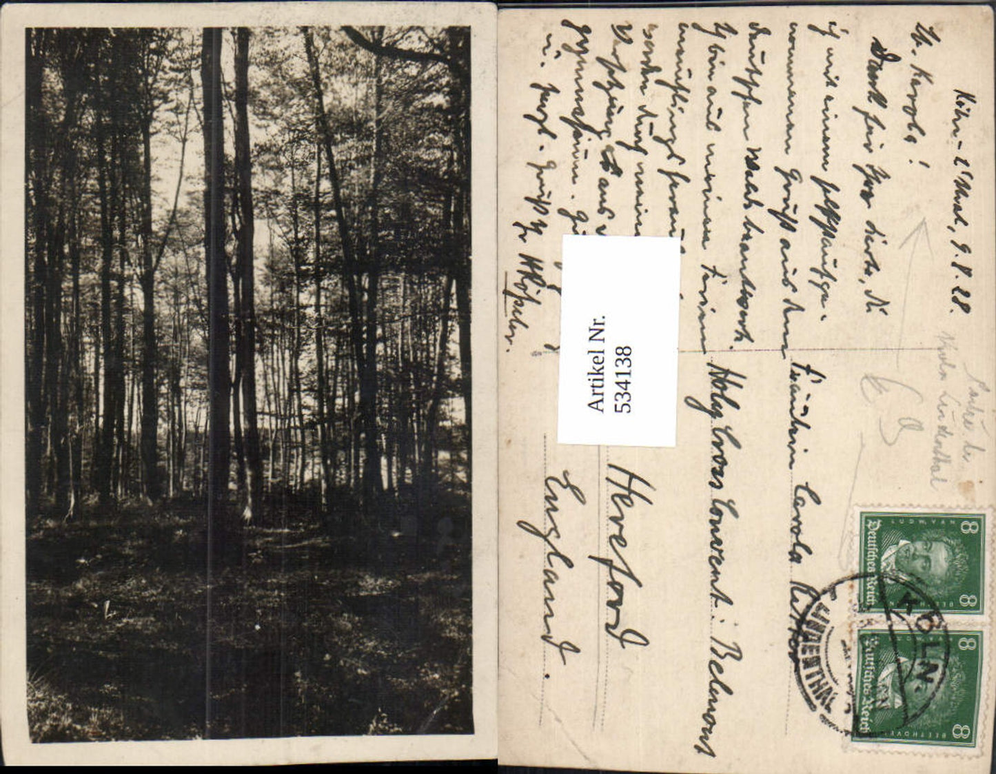 534138,Foto Ak Köln Lindenthal Partie Landschaft Wald Bäume