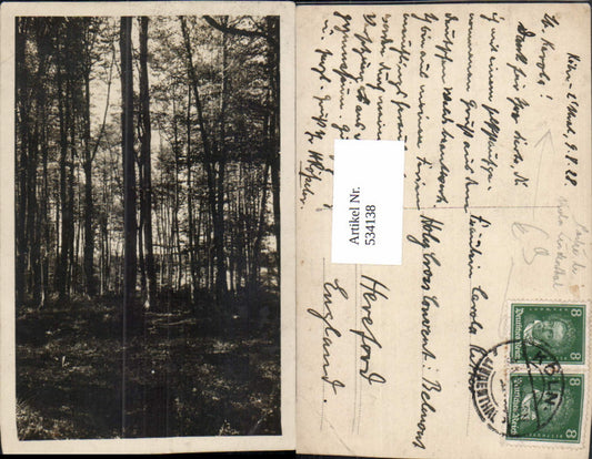 534138,Foto Ak Köln Lindenthal Partie Landschaft Wald Bäume