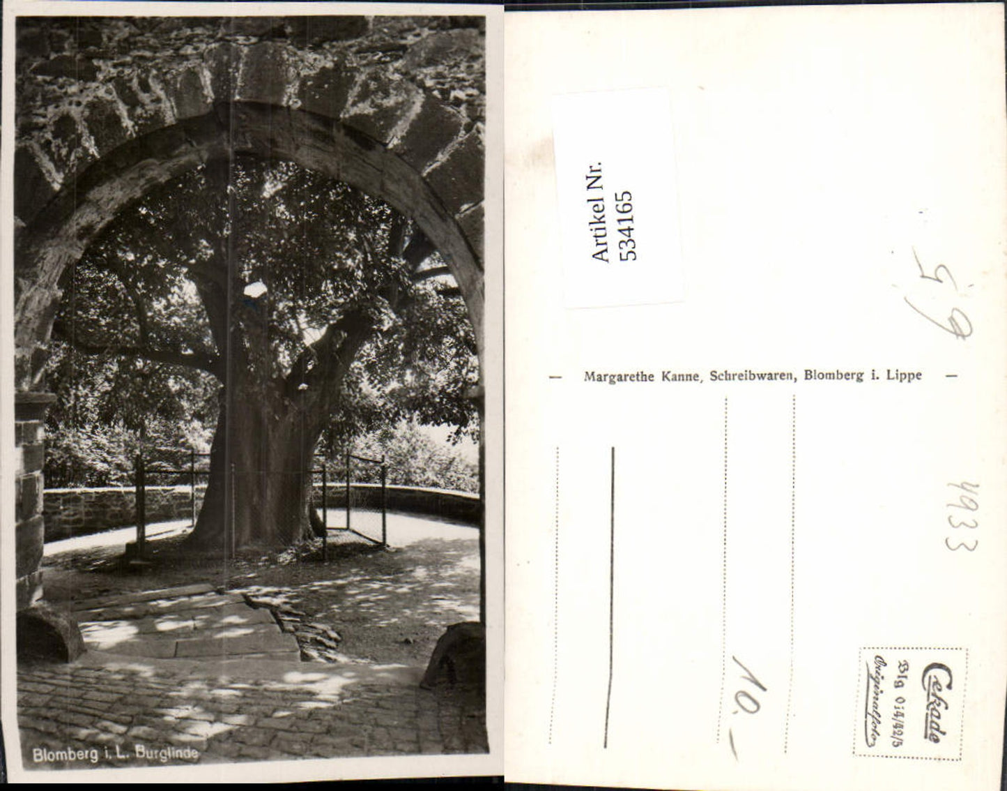 534165,Blomberg i. Lippe Burglinde Baum Linde