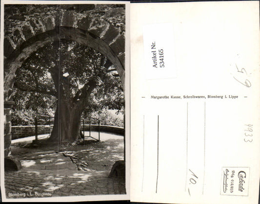 534165,Blomberg i. Lippe Burglinde Baum Linde