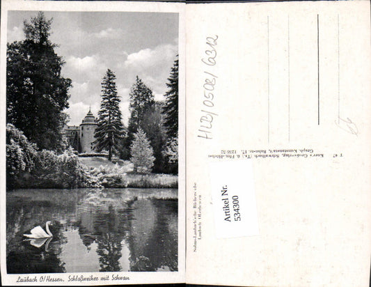 534300,Laubach Hessen Schlossweiher m. Schwan