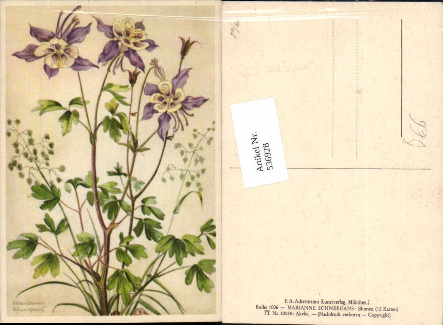 536928,Künstler AK Marianne Schneegans Akelei Blume pub Ackermann 10038