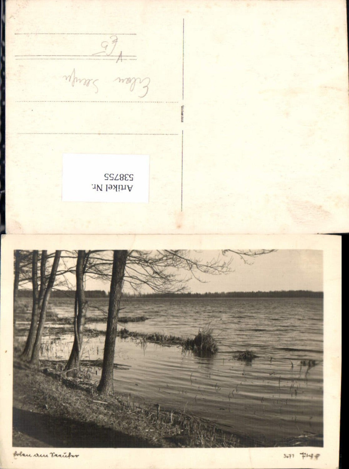 538755,Fotokunst Popp 3677 Erlau am Seeufer Strand Ufer