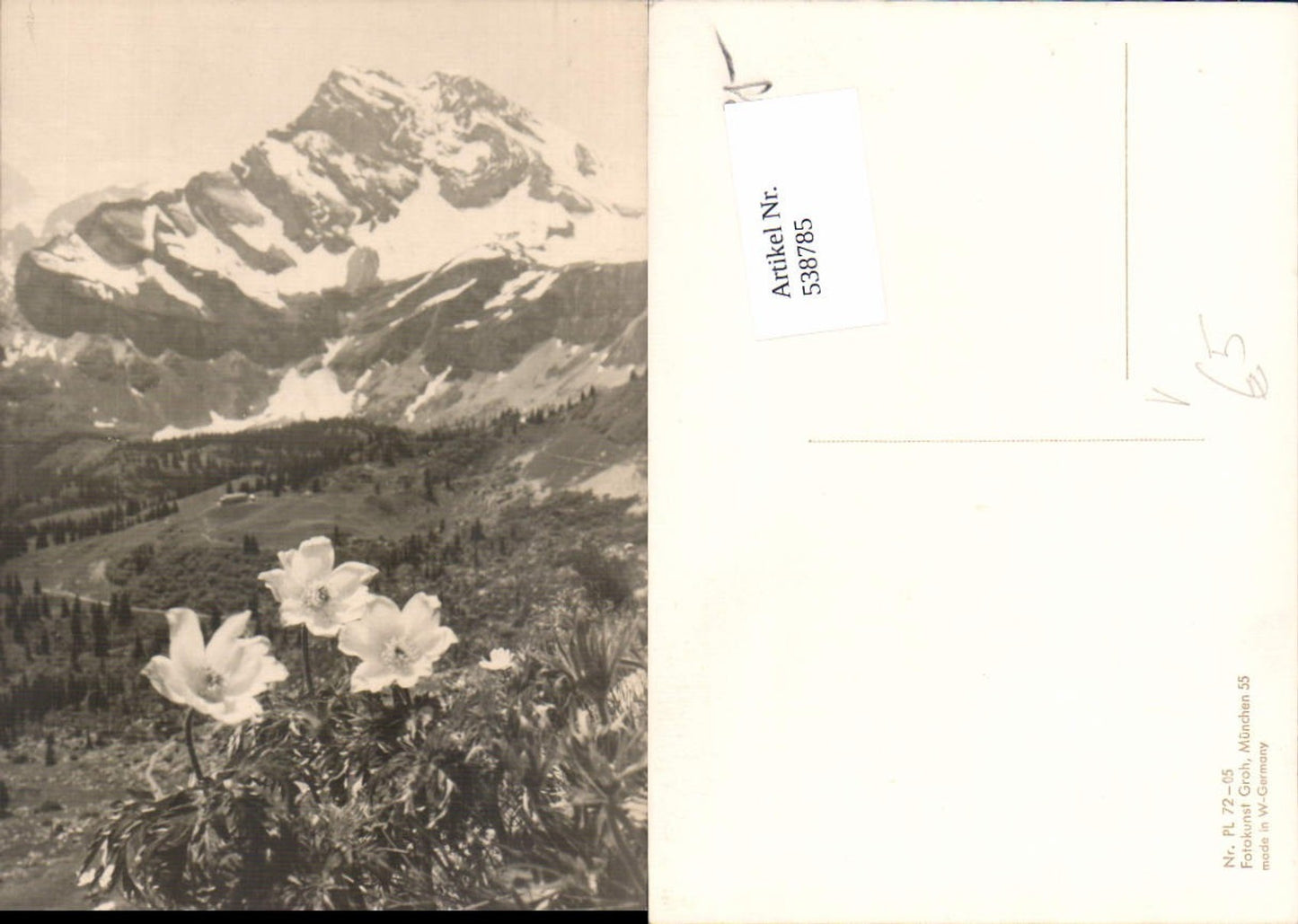 538785,Fotokunst Groh PL 72-05 Blumen Berge