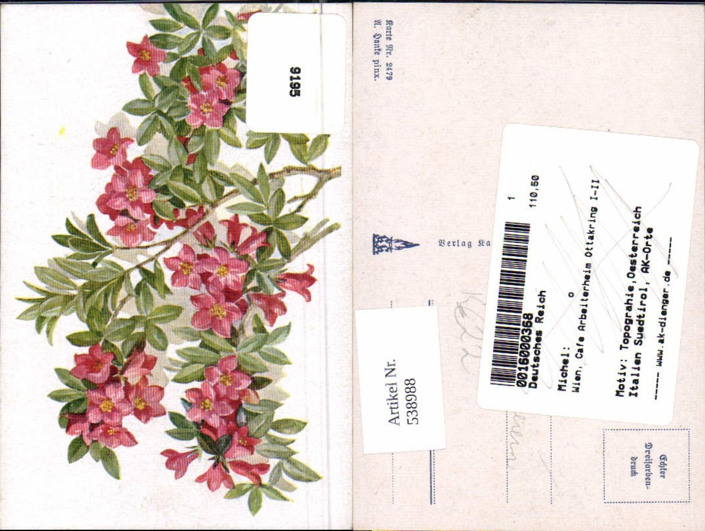 538988,Deutscher Schulverein 2479 A. Hanke Blume