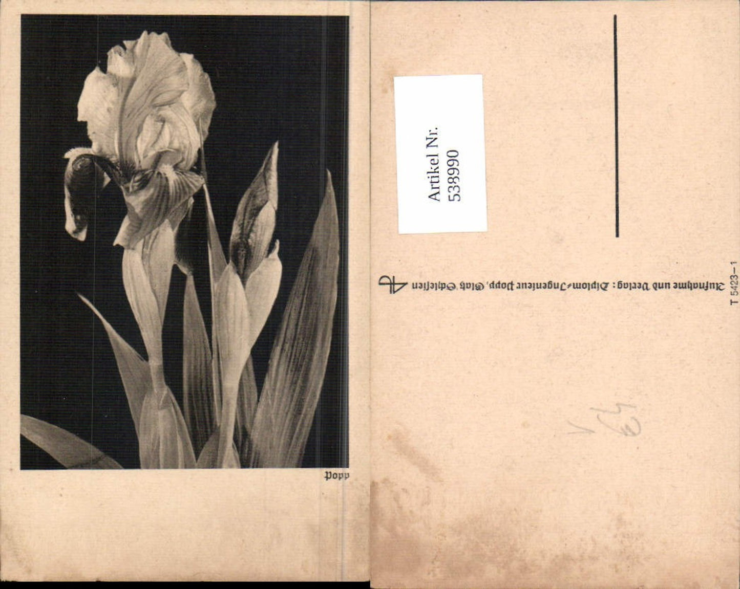 538990,Fotokunst Ing. Popp Glatz Schlesien