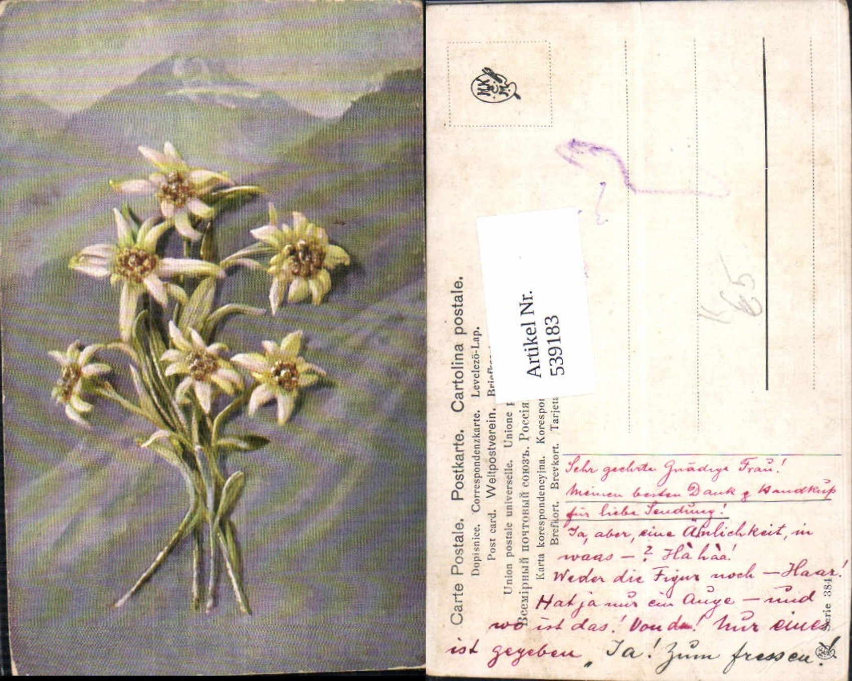 Alte Ansichtskarte – Old Postcard