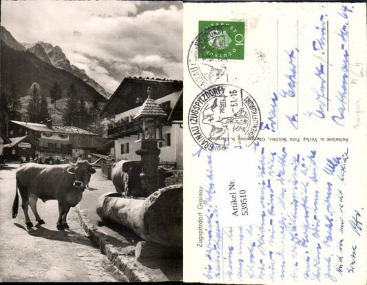 539510,Kuh Kühe Brunnen Grainau bei Garmisch Partenkirchen