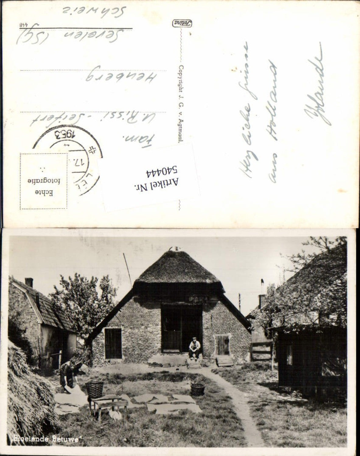Alte Ansichtskarte – Old Postcard