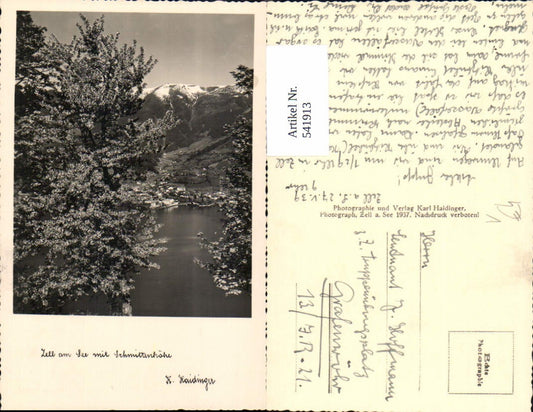 541913,Foto Ak Zell a. See m. Schmittenhöhe Bäume i. Vordergrund pub Karl Haidinger
