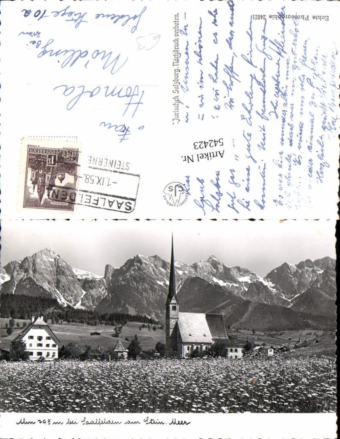 542423,Alm bei Saalfelden