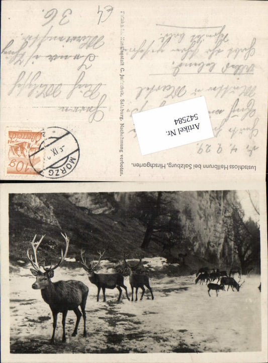 542584, Salzburg Hellbrunn Deer Animals Hunting Deer Garden
