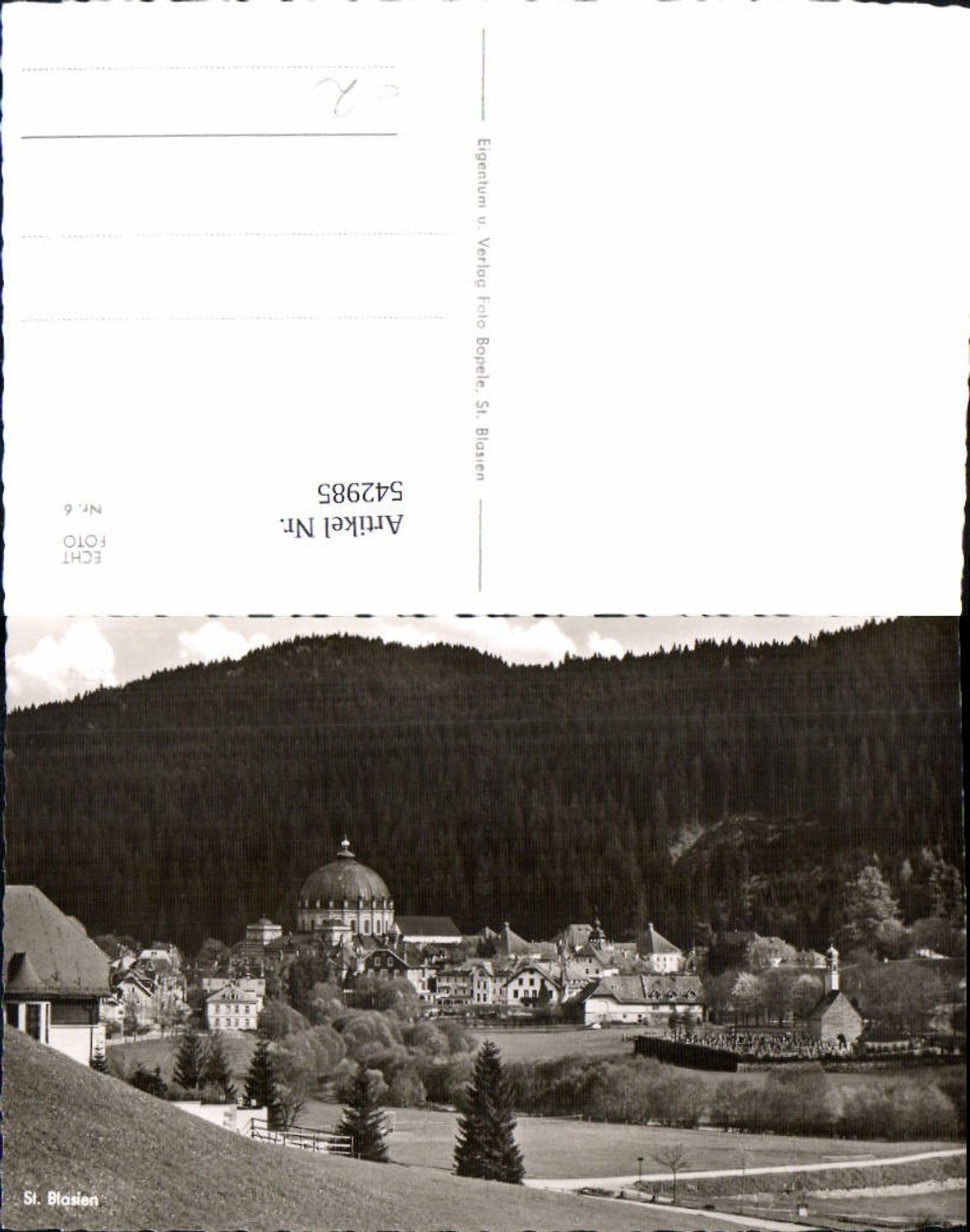 542985,Foto Ak St. Blasien Ansicht m. Dom