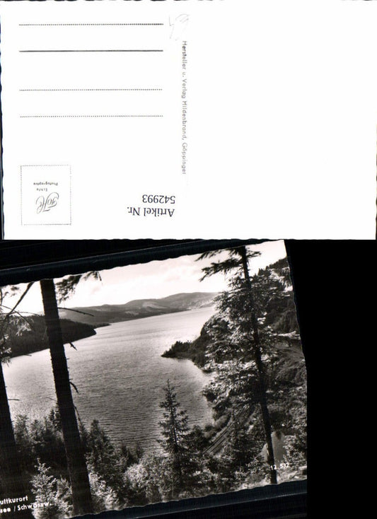 542993, Photo Ak Schluchsee Hochschwarzwald View of Lake