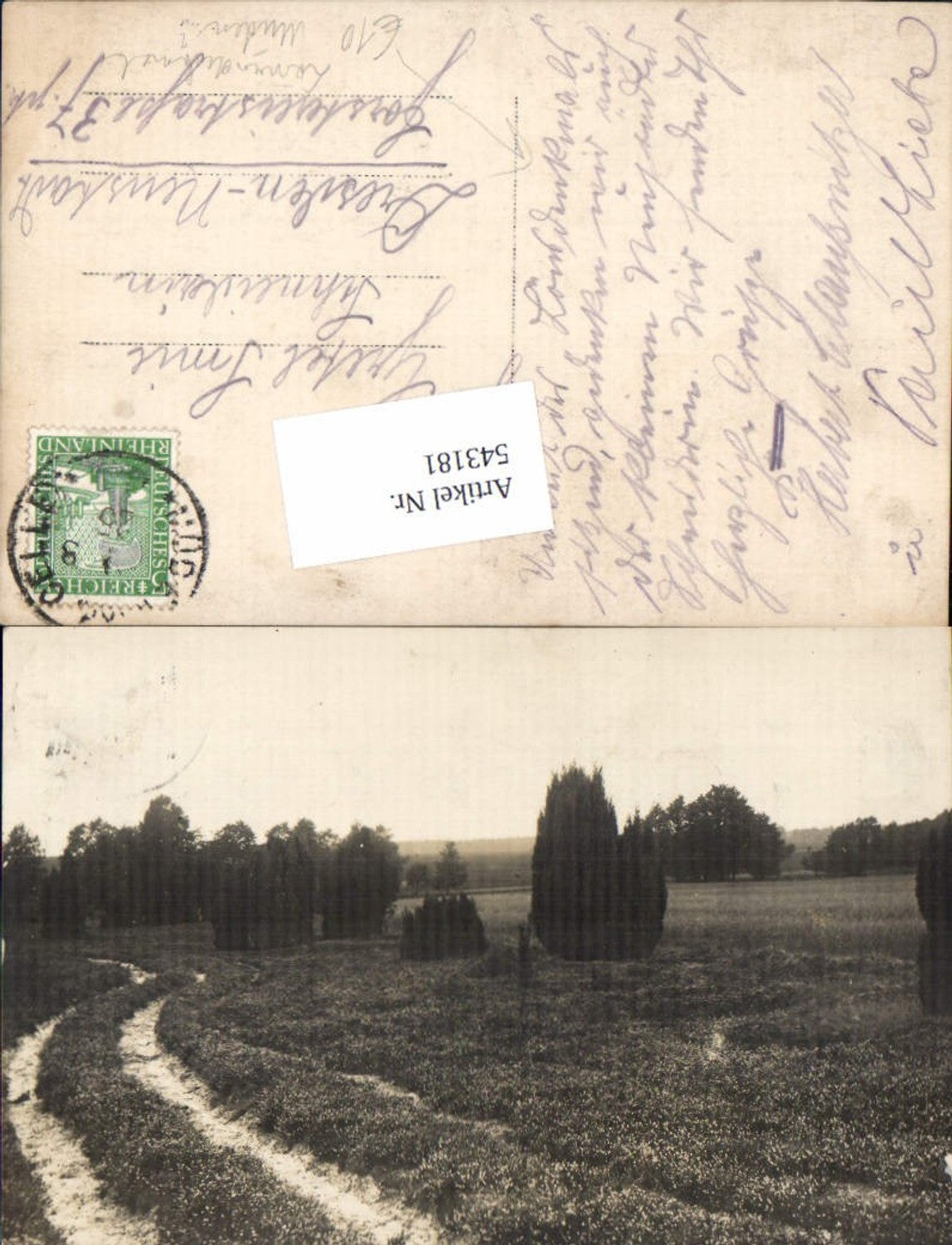 543181,tolle Foto-AK Lönsdenkmal Müden Celle Örtze Faßberg Lüneburger Heide Löns Hermann