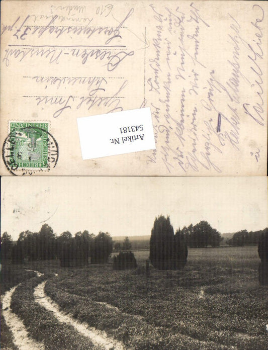 543181,tolle Foto-AK Lönsdenkmal Müden Celle Örtze Faßberg Lüneburger Heide Löns Hermann