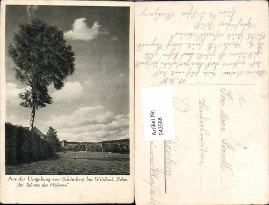 543568, Schömberg near Wildbad, Black Forest, Calw district