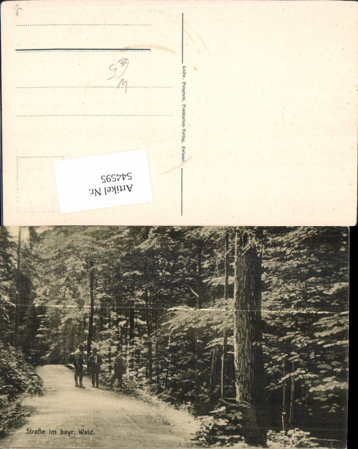 544595,Straße im  Bayerischen Wald Zwiesel Eisenstein