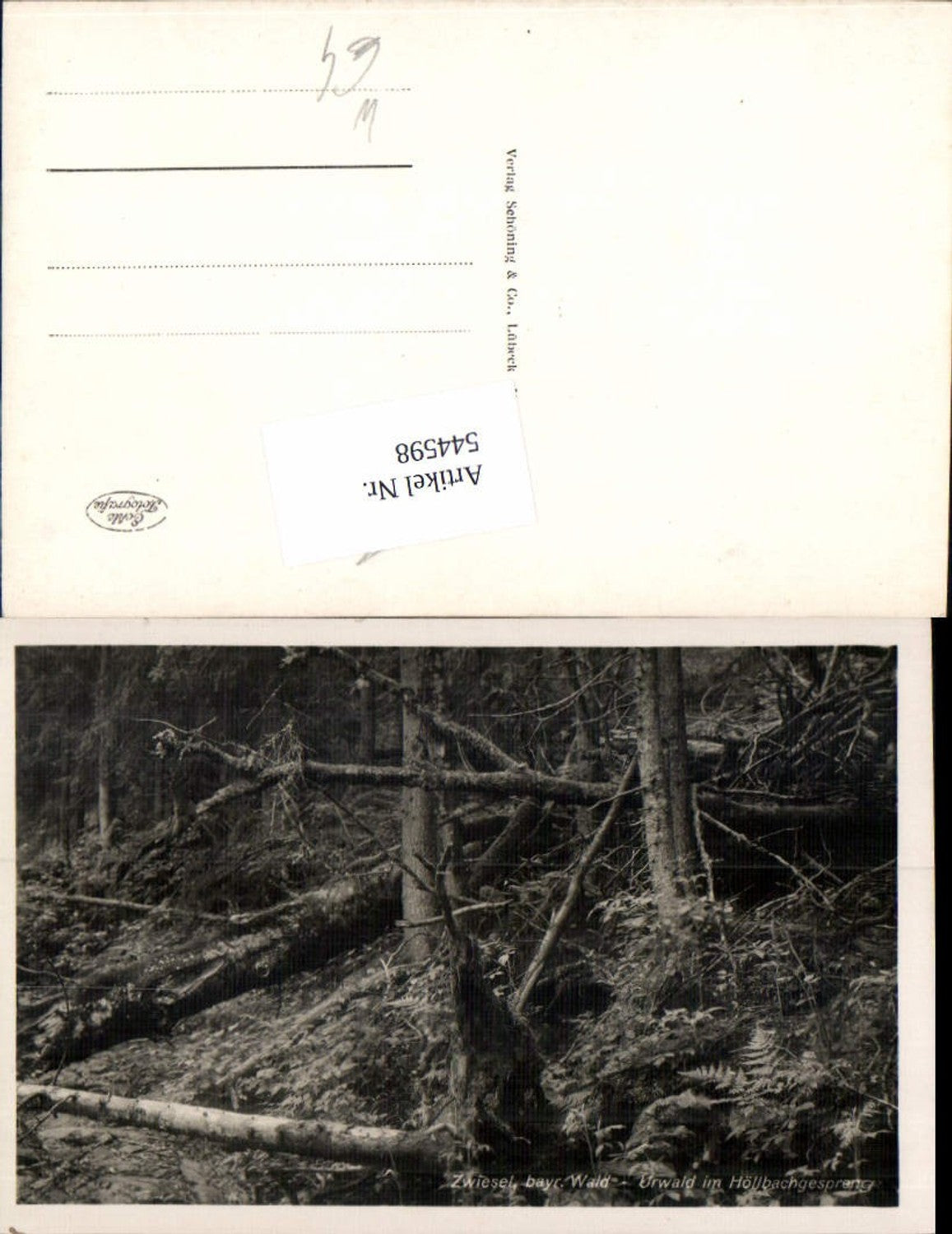 544598,Zwiesel im  Bayerischen Wald Urwald Höllbachgespreng