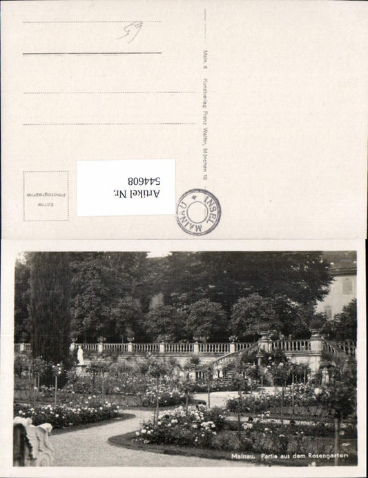 544608, Mainau am Bodensee Rose Garden