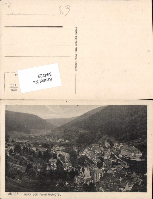 544729, Wildbad Hotel Blick
