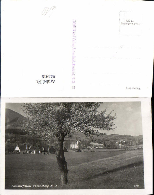 544919,tolle AK Thenneberg bei Altenmarkt an der Triesting pub Kral Berndorf