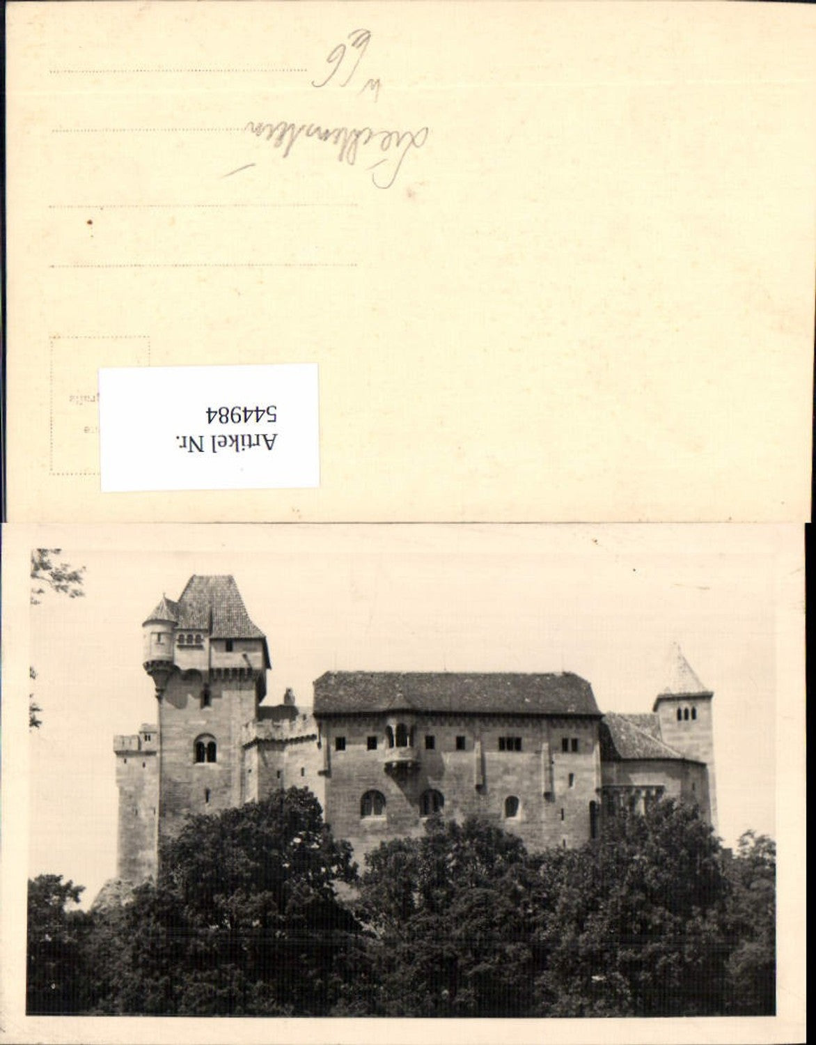 544984,tolle Foto-AK Burg Liechtenstein bei Mödling Maria Enzersdorf