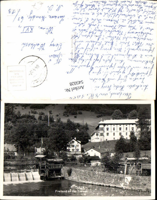 545028,tolle Foto-AK Freiland an der Traisen b. Lilienfeld Ortsansicht