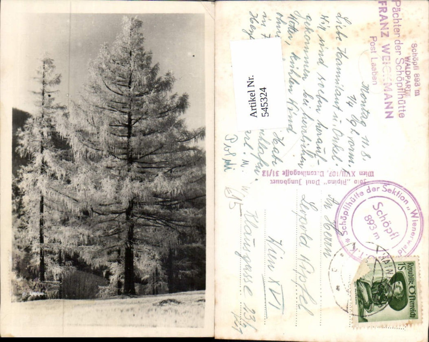 545324,seltene Foto-AK St. Corona am Schöpfl bei Laaben im Wienerwald Altenmarkt