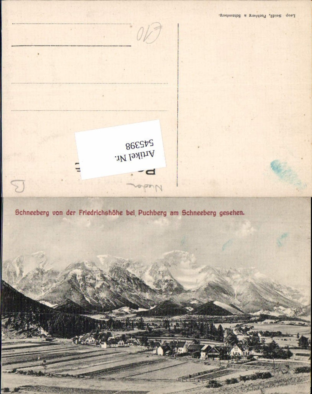 545398,Schneeberg v. Friedrichshöhe bei Puchberg am Schneeberg