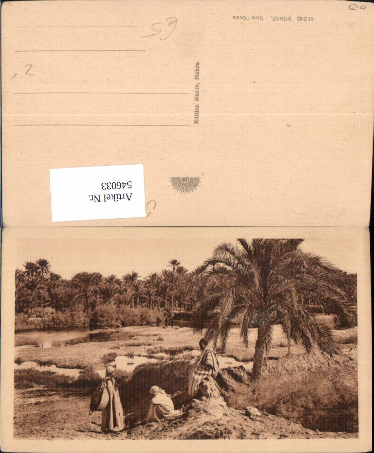 546033,Algeria Biskra Oasis Oase Typen types Palmen