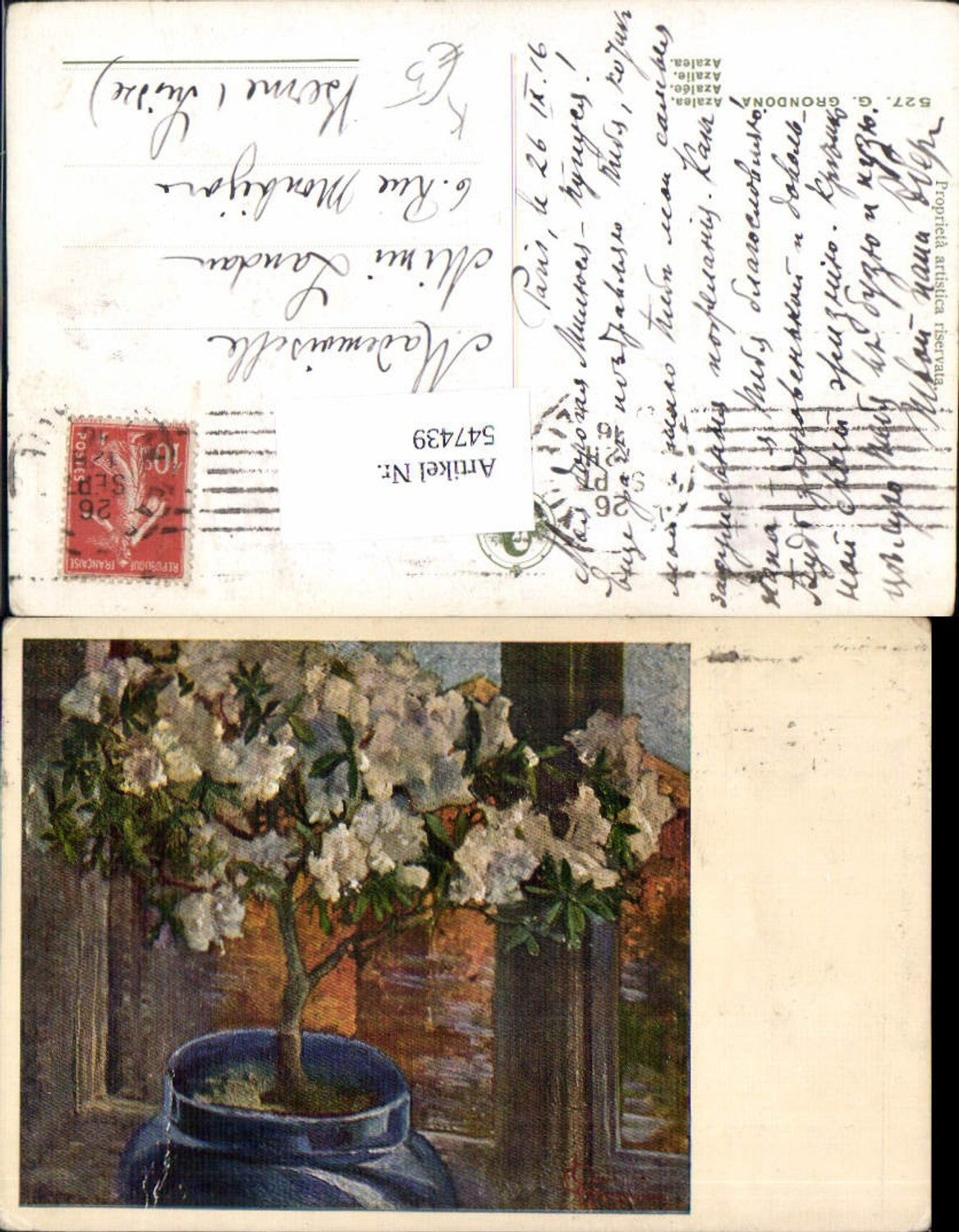 547439,Künstler AK G. Grondona Azalea Blumen