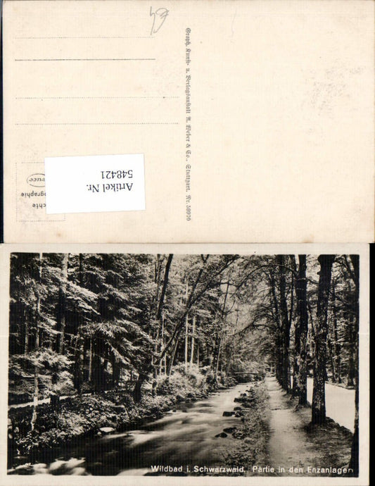 548421, Bad Wildbad in the Black Forest Enzanlagen