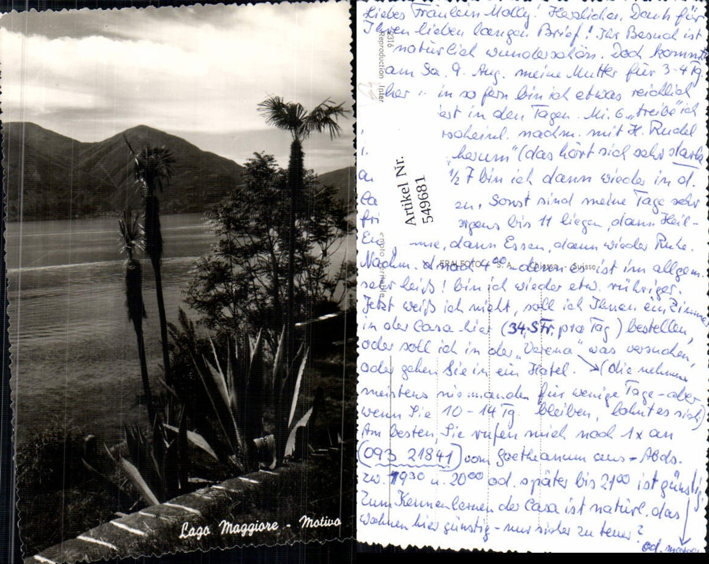 Alte Ansichtskarte – Old Postcard