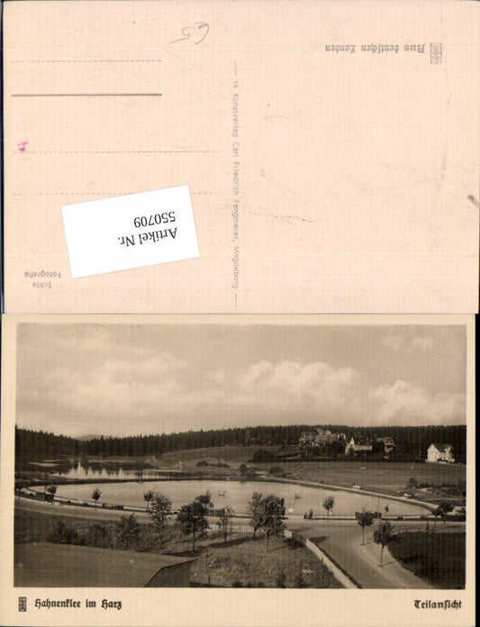 550709,Hahnenklee Bockwiese Auerhahn Goslar