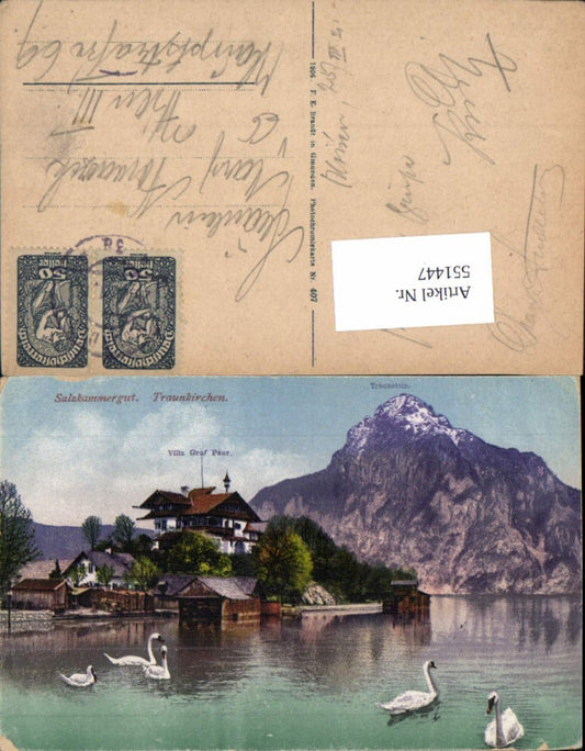 551447,Traunkirchen am Traunsee Villa Graf Paar Traunstein Schwäne pub Brandt 407