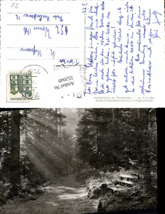 552049, Freudenstadt in the Black Forest, hiking trail in the Teuchelwald forest