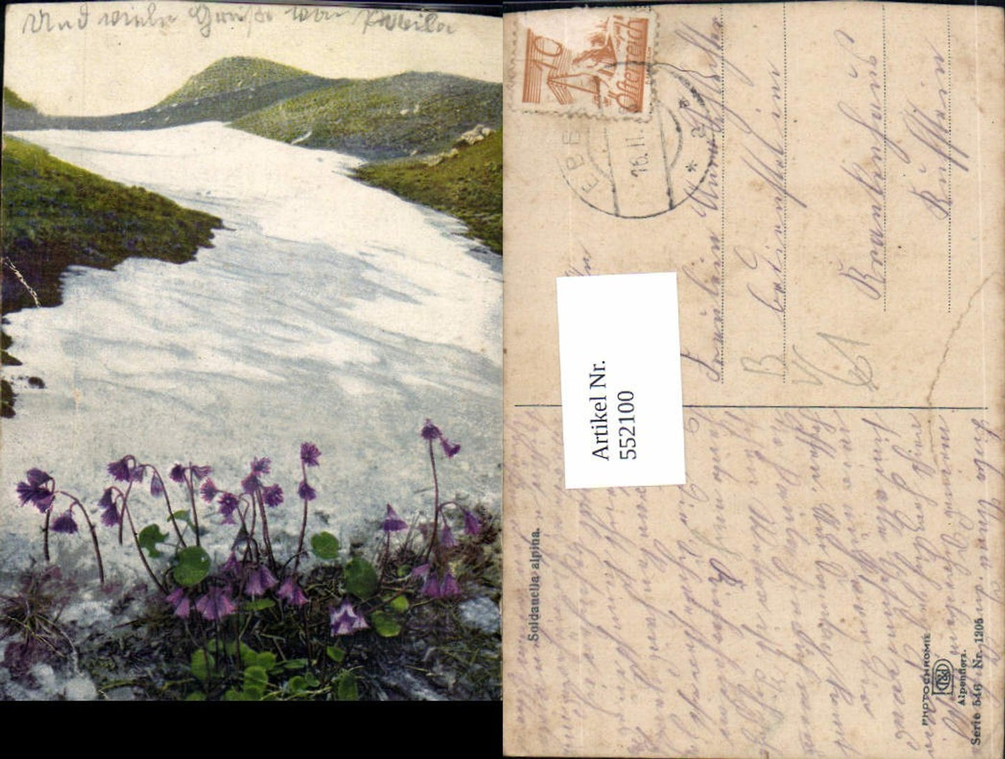 552100,Photochromie Nenke & Ostermaier 546-1205 Alpenflora Gletscher