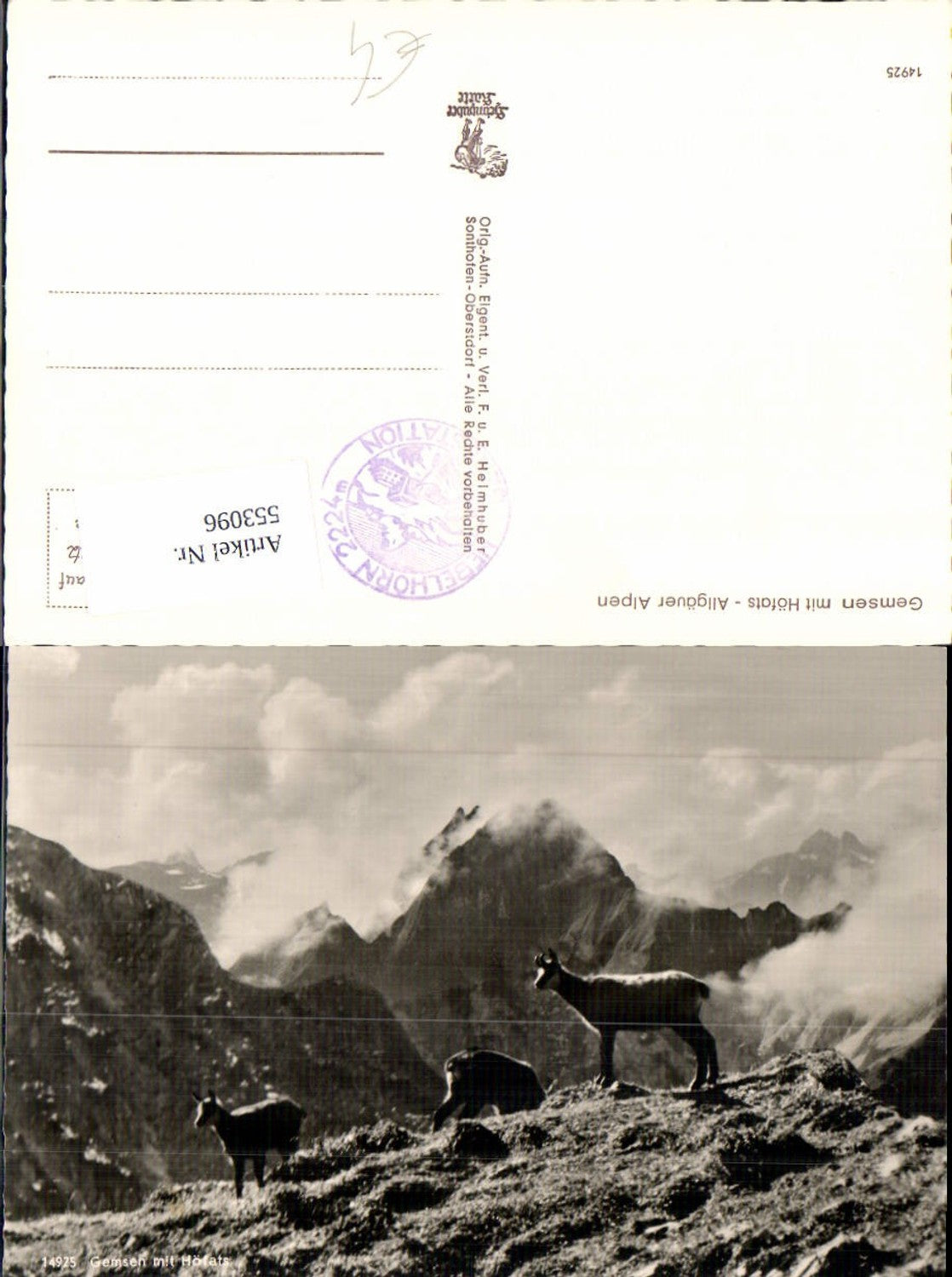 Alte Ansichtskarte – Old Postcard