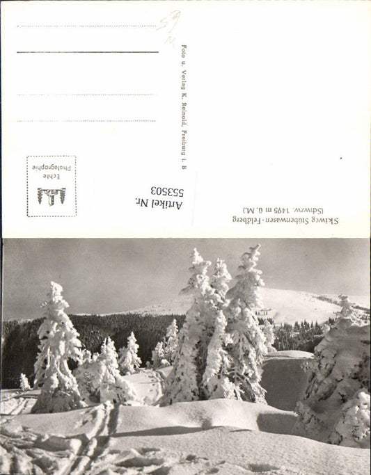553503,Feldberg Hochschwarzwald Skiweg Stübenwasen