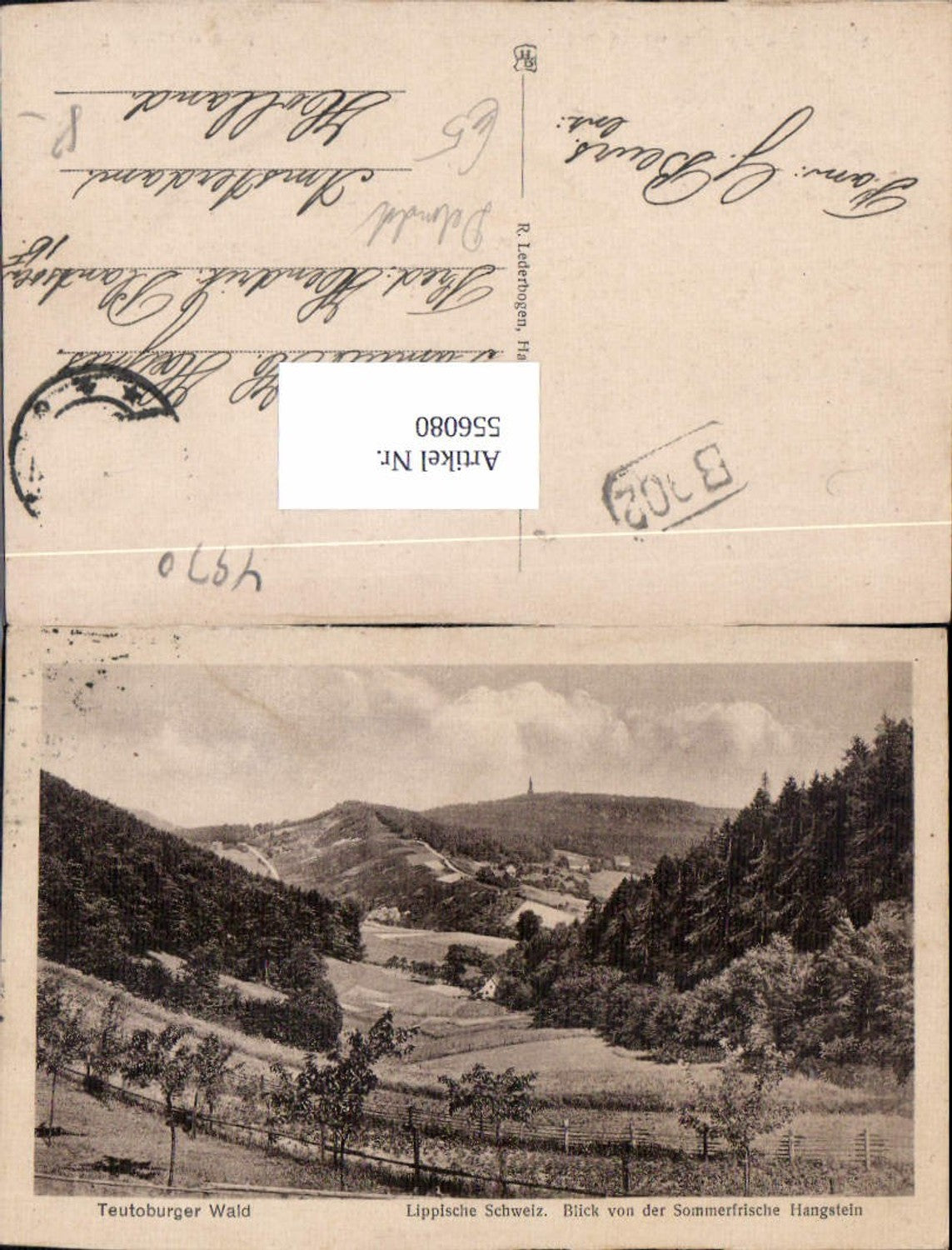 556080,Teutoburger Wald bei Detmold Hangstein Lk Lippe