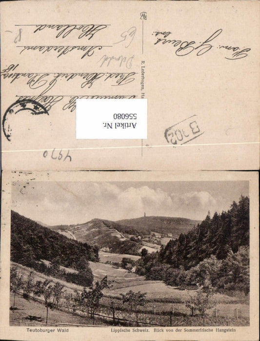 556080,Teutoburger Wald bei Detmold Hangstein Lk Lippe